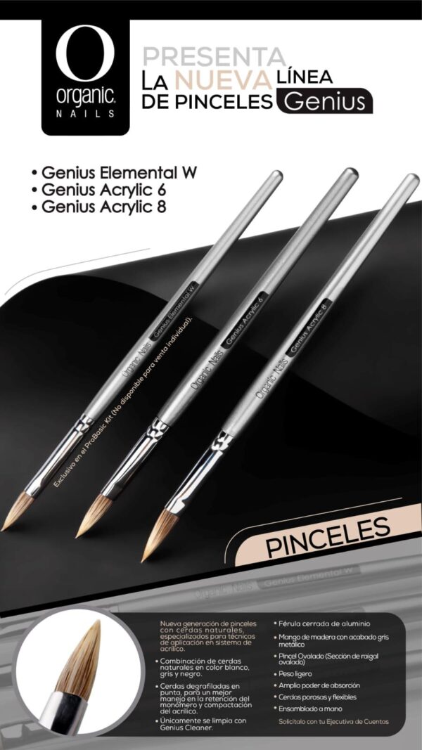 PINCEL GENIUS ACRYLIC #6 W - Image 3
